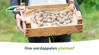 MOESTUIN  Hoe aardappelen planten [upl. by Ycaj]