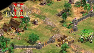 Age of Empires 2 HD Le Loi  238 Ein dreiteiliger Angriff [upl. by Airotahs591]