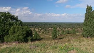 Lüneburger Heide Teil 1  Wanderung auf den Wilseder Berg [upl. by Arias586]