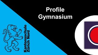 KZN «Profile Gymnasium» [upl. by Relyat]