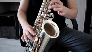 Tutorial Saxofon  Hora Re major [upl. by Nolos]