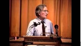 Noam Chomsky  The Soviet Union vs Socialism [upl. by Chelsae687]