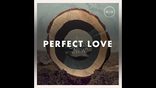 Rivers amp Robots  Perfect Love Official Audio [upl. by Aphrodite]