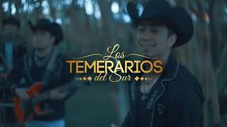 Temerarios Del Sur  Me Hubieras Dicho Videoclip Oficial [upl. by Akirdnahs]