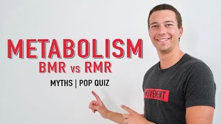 Metabolic Rate Explained  BMR vs RMR [upl. by Wiburg]