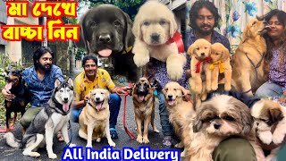 Best Dog Kennel Kolkata Dog Market Dog Market in Kolkata [upl. by Hanas]