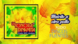 Maicito A Otro Pollo  La Sonora Dinamita  Discos Fuentes Audio [upl. by Adey]