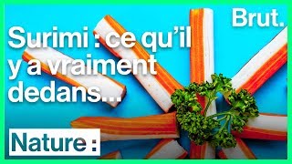 Comment est fabriqué le surimi [upl. by Ahrendt]