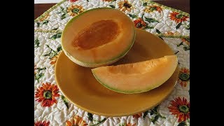 How to Grow Melons Everyone Can Grow a Garden 2019 10 [upl. by Naarah]