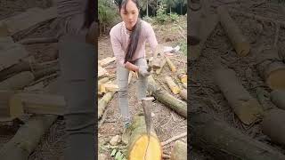 Splitting firewood with an early 1900s Wood Splitter [upl. by Nevile108]