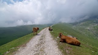 Crossing Picos de Europa  Indoor Cycling Training [upl. by Pepillo903]