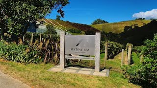 Destiny Bay Vineyard amp Winery Tour Full Tour [upl. by Reyna]