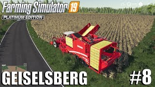 Harvesting Potatoes  Geiselsberg Timelapse 8  FS19 Timelapse  Farming Simulator 2019 [upl. by Nilyac]