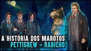 HOGWARTS UMA HISTÓRIA  MAROTOS RABICHO [upl. by Janella]