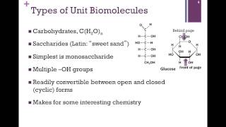 002Biological Molecules [upl. by Sykleb]