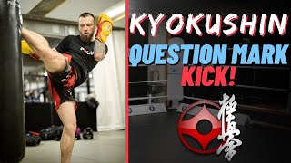 Questionmark Kick  How to throw a Question Mark Kick Karate for MMA [upl. by Alda]