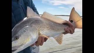 Baffin Bay Fly Fishing [upl. by Dosi]