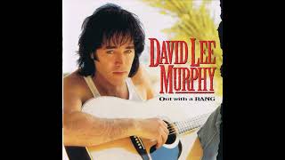 Dust on the Bottle  David Lee Murphy [upl. by Komsa438]