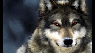 Documental de ANIMALES  Lobos Radioactivos de chernobyl [upl. by Noreen274]