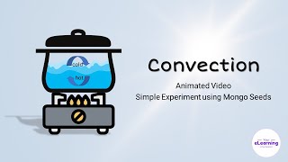 Simple Convection Experiment using Mongo Seeds  Animation [upl. by Wallinga617]