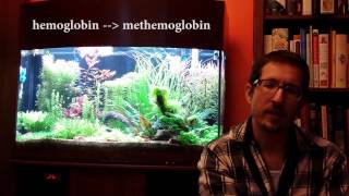 Chlorine and Chloramine in Your Aquarium Toxicity pt2 [upl. by Eaton297]