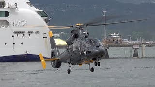 Eurocopter AS365 Dauphin CGTLW landing at the Vancouver Harbour Heliport  in 4K [upl. by Oos]