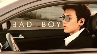 Bad boy  Multifandom [upl. by Adnorat268]