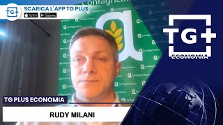 ALLEVAMENTI SUINI le previsioni per il 2024TG Plus ECONOMIA [upl. by Tawsha955]