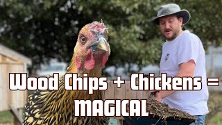 Making Magic in the Chicken Run with Wood Chips [upl. by Schenck]