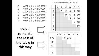 Creating a Phylogenetic Tree [upl. by Yasnyl768]