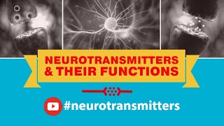 Neurotransmitters And Their Functions Dopamine Glutamate Serotonin Norepinephrine Epinephrine [upl. by Hasan202]