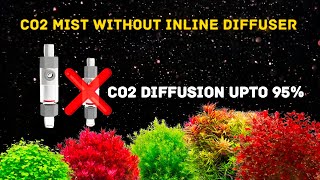 CO2 mist diffusion in planted aquarium without inline diffuser [upl. by Neleag83]