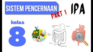 SISTEM PENCERNAAN MANUSIA PART 1 IPA KELAS 8 SMP [upl. by Limaj]