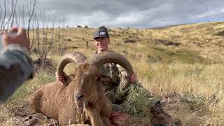 Heart Shots amp Head Shots West Texas Aoudad Hunt [upl. by Ellehsor]