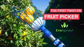 Best Fruit Picker Comparison  Eversprout vs OhuhuABCO Tech  Product Review amp Unpacking [upl. by Marcelia]