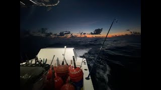 Commercial Handline Swordfishing Billfish Republic [upl. by Astrid]