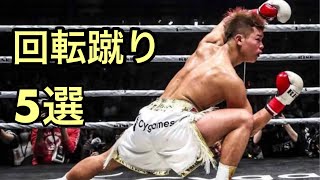 那須川天心の華麗なる足技集 Highlights of Tenshin Nasukawa [upl. by Brine]