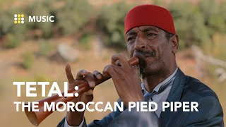 LGHITA CEREMONIAL MUSIC FROM MOROCCO [upl. by Templeton]