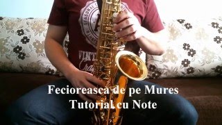 Fecioreasca de pe Mures Dumitru Farcas   Tutorial cu Note [upl. by Sankey366]