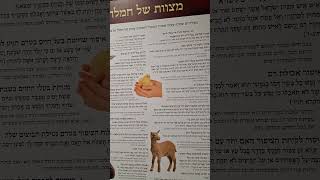 Bible Mitzvot explained in Biblical museum in Israel [upl. by Forester976]