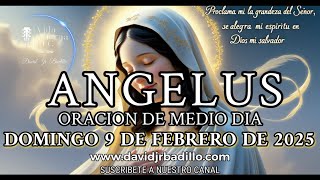 El Angelus de hoy Domingo 9 de febrero de 2025🌿🌷🌿 Saludo del Arcángel Gabriel🌿🌷🌿 A la Virgen María [upl. by Lurleen152]