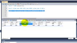 SQL Complete Tutorial  Example to find NULL and NOT NULL values  Chapter 19 [upl. by Gnilyam]