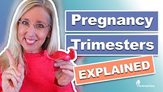 Pregnancy amp Trimesters Explained [upl. by Hyacintha]