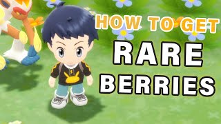 How to get RARE Berries ► Pokemon Brilliant Diamond  BDSP [upl. by Learrsi617]