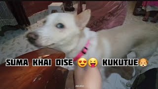 mahi ghort jau 🐶 kukutur saoni sua🤣 [upl. by Veronica386]