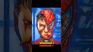 Why SpiderMan 4 Cancelled ❌l shorts [upl. by Aztinaj]