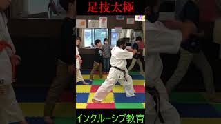 インクルーシブ教育～足技太極～極真空手KyokushinKENSEIKANKARATEBlackbeltkarategirl勝つ為の組手テクニック [upl. by Drud]