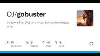 AI Podcast GitHub  OJgobuster DirectoryFile DNS and VHost busting tool written in Go [upl. by Lohner]