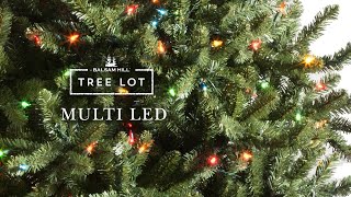 Multi LED  Tree Lot [upl. by Draper]