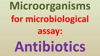 Microorganisms for microbiological assay of antibiotics [upl. by Seidel323]